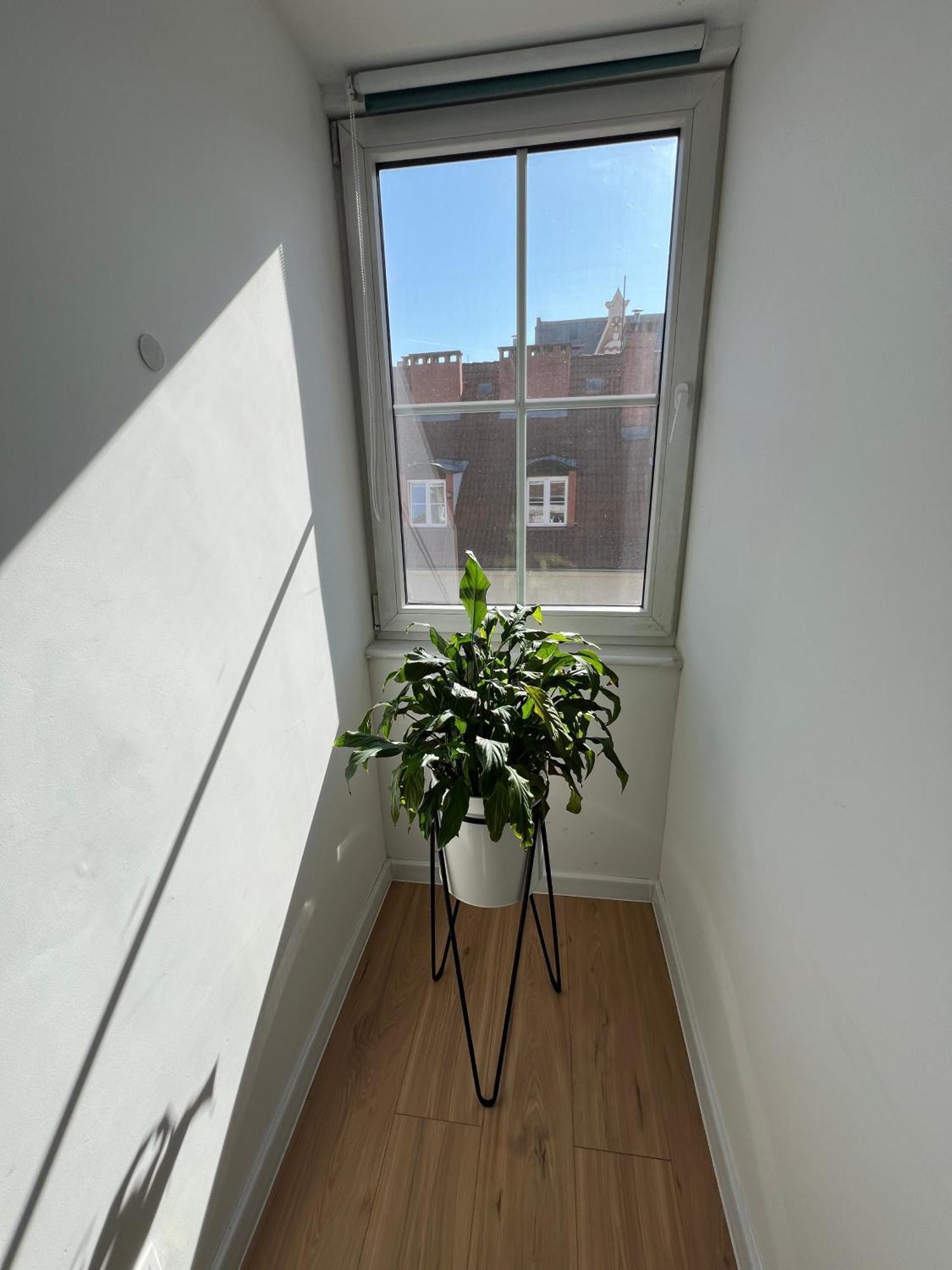 Modern 46m2 Ac 100m From Stary Rynek Center Kramarska 21 Apartment *