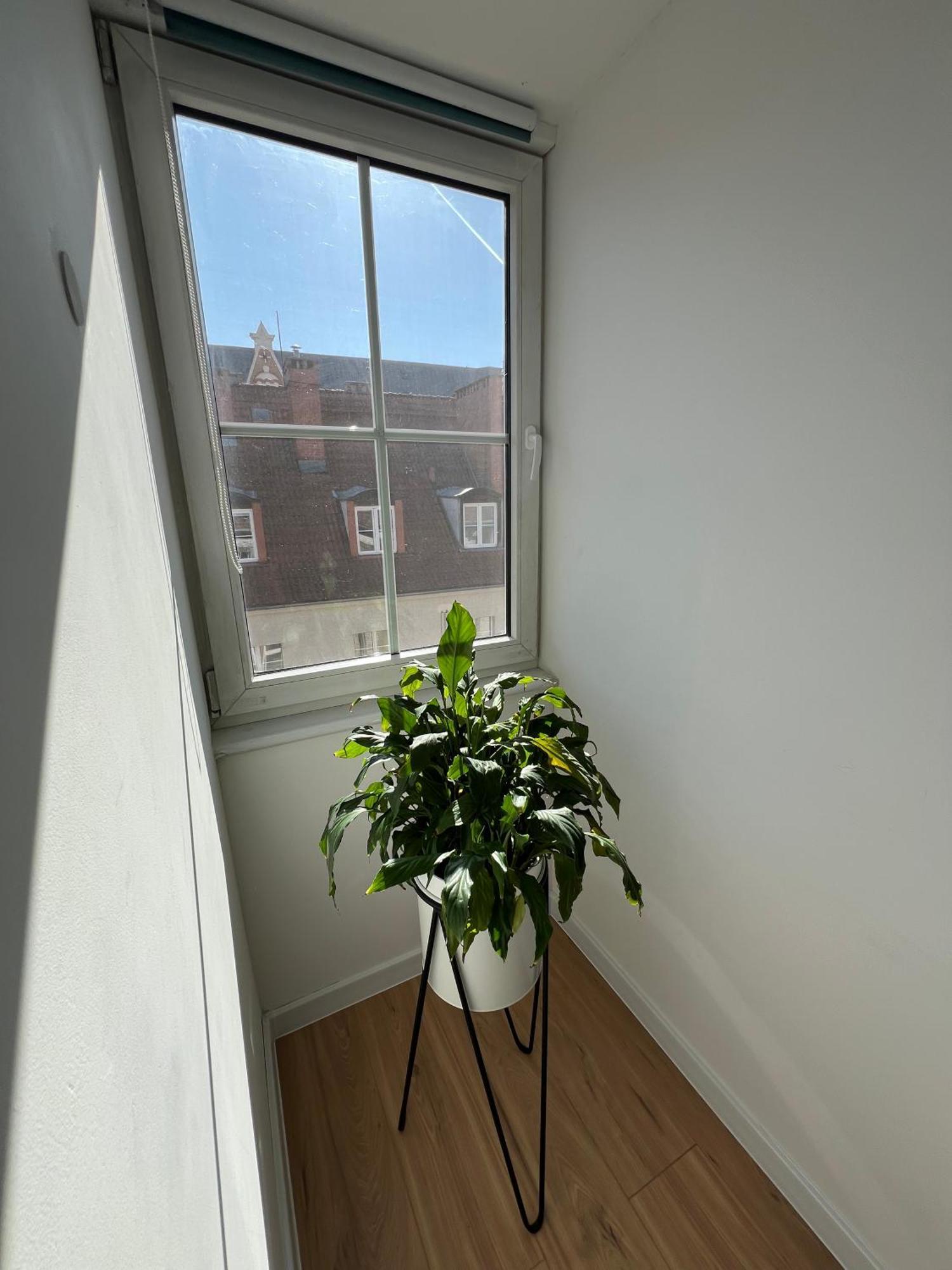 Modern 46m2 Ac 100m From Stary Rynek Center Kramarska 21 * Poznan