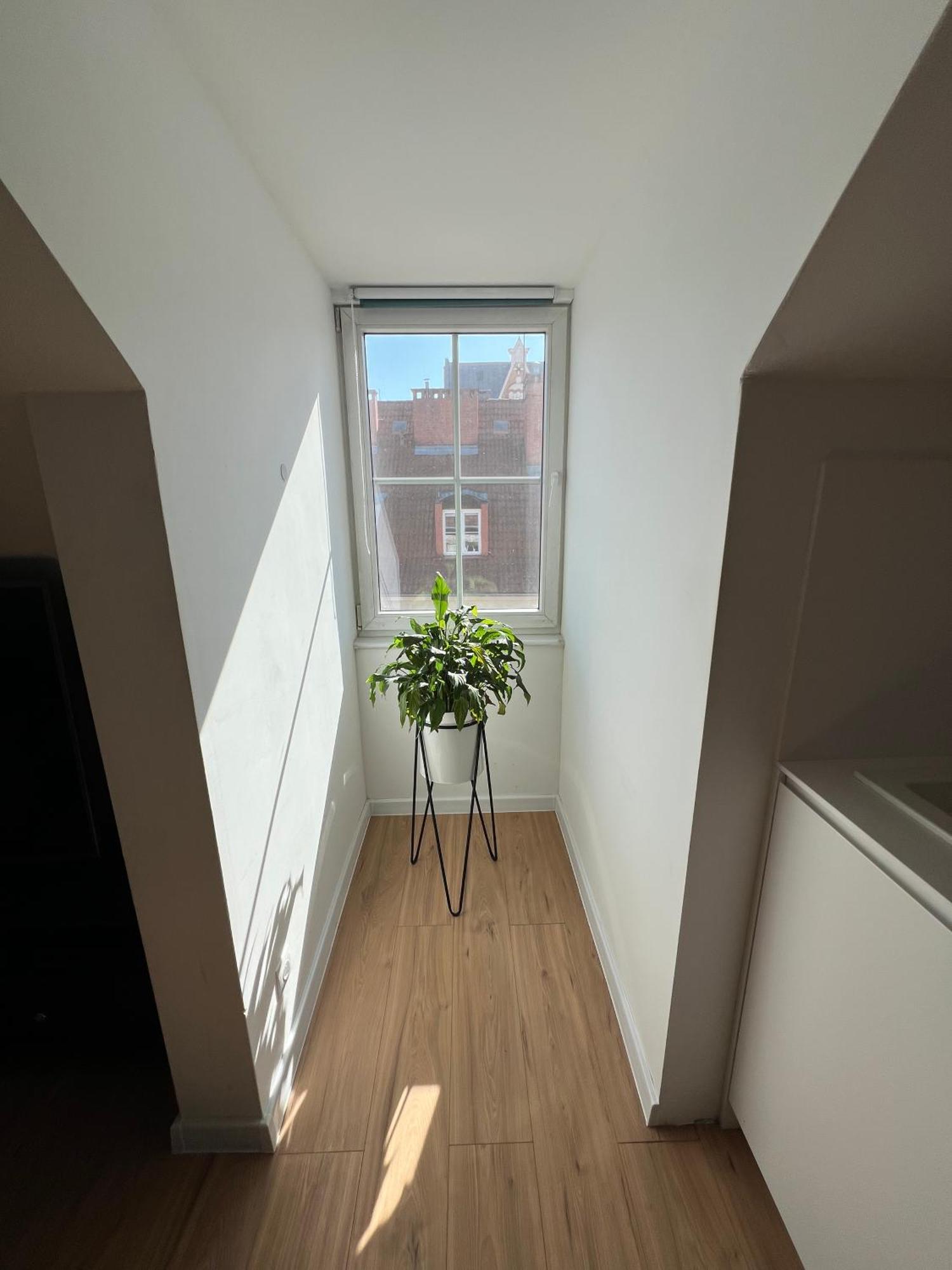 Modern 46m2 Ac 100m From Stary Rynek Center Kramarska 21 Apartment *